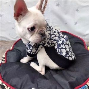 Custom Dior dog sweater